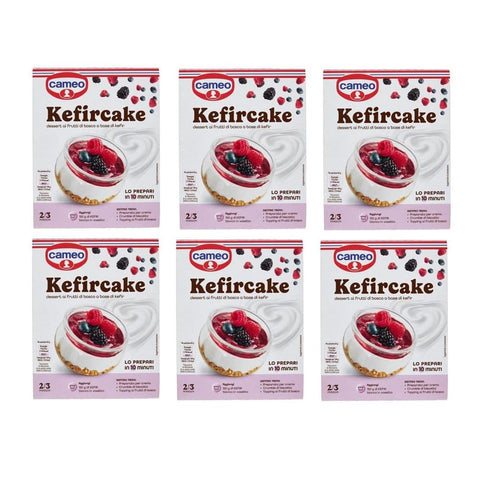 Cameo Kuchen Cameo Kefircake Beerendessert auf Kefirbasis 6x100g