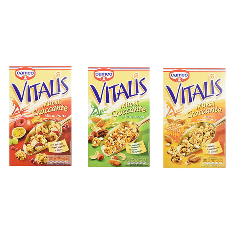 Cameo Testpaket Cameo Vitalis Muesli Croccante Miele e Mandorle Frutta Secca Frutta Mix Cerealien Fruchtmischung 3x 300g italienisch Original