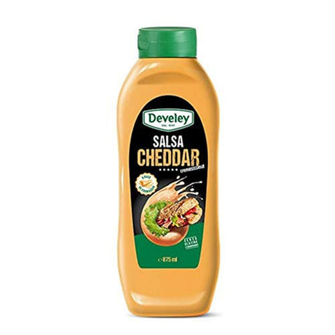 CHEDDAR SALSA 1x875ml Original italienisch Sauce