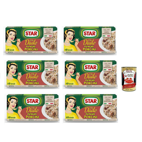Star dado funghi porcini brodo Steinpilze Suppenwürfel Brühe 10 pz 6x inkl. Italian Gourmet polpa 400g Original italienisch