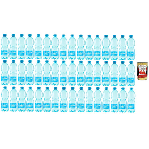 Vitasnella Acqua Minerale Naturale Natürliches Mineralwasser Italienisches Wasser 48x 50cl inkl. Italian Gourmet polpa 400g Original italienisch