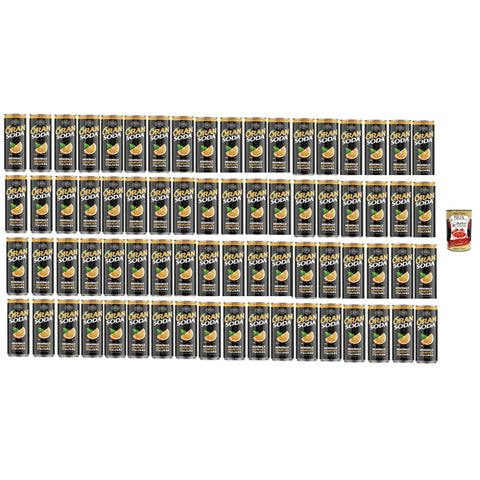 Oransoda Campari Group Orange Soda 72x330ml Original italienisch Getränk