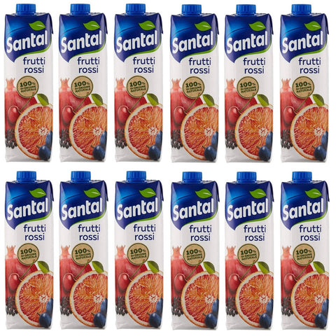 Parmalat Santal I Classici Succo di Frutta Frutti Rossi Rote Früchte Fruchtsaft 100% Natürlichen Ursprungs 12x 1000ml italienisch Original