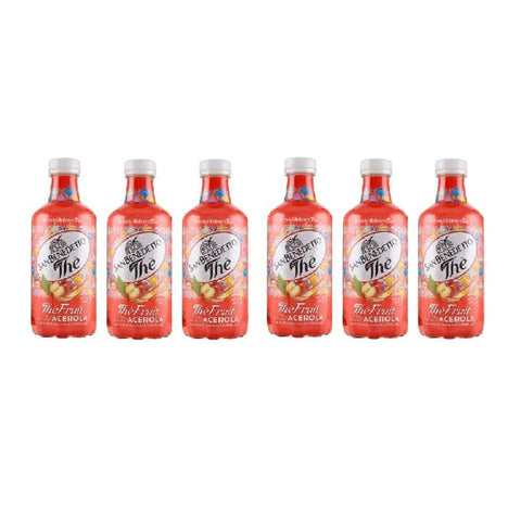 San Benedetto Eistee 6x San Benedetto Thè Fruit Acerola Tee 0,75L PET