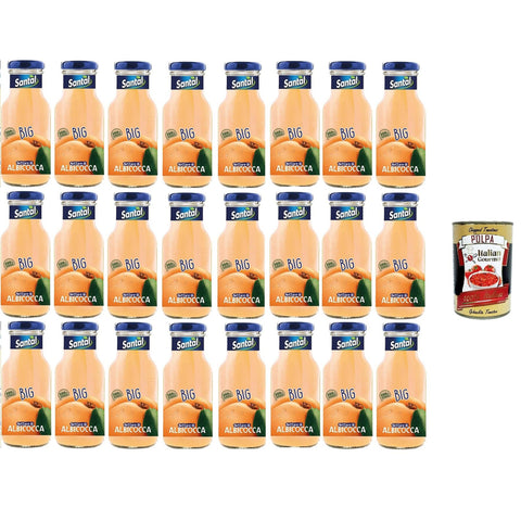 Santal Big Succo di Frutta al gusto di Albicocca Fruchtsaft mit Aprikosengeschmack 24x250 ml italienisch Original